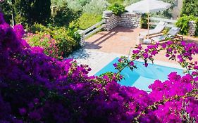 Myrto Homes Lefkada Agios Nikitas Greece